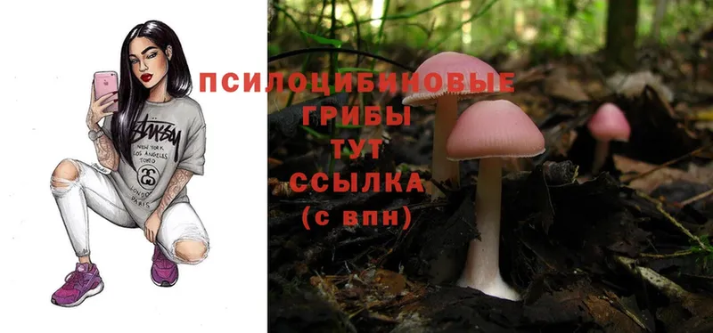 blacksprut ССЫЛКА  Лениногорск  Галлюциногенные грибы Cubensis 